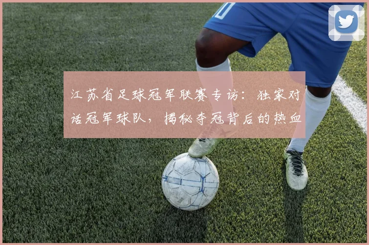 江苏省足球冠军联赛专访：独家对话冠军球队，揭秘夺冠背后的热血征程