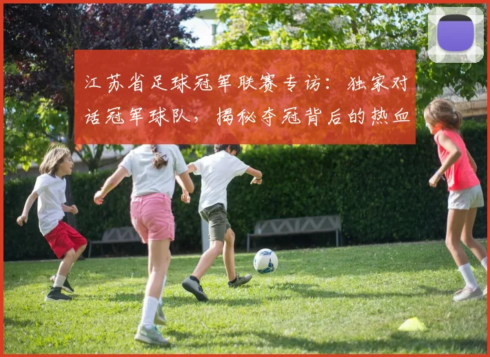 江苏省足球冠军联赛专访：独家对话冠军球队，揭秘夺冠背后的热血征程